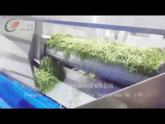 Como é que a linha de produção de feijão enlatado produz feijão enlatado?