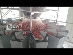 Máquina de embalagem a vácuo de termoformação automática Linha completa de embalagem de saquetes