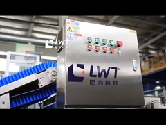 Máquina de lavar bolhas de frutas e vegetais