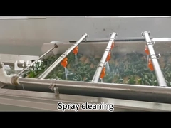 Linha de produção automática de conservas de pepino de conservas de vegetais