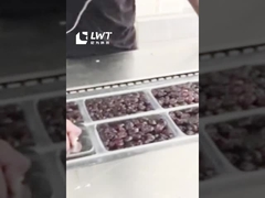 Linha de produção de embalagens de data máquina de embalagem de vácuo de filme de alongamento automática