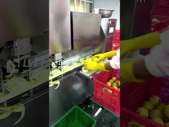 Linha de produção de frutas enlatadas Leadworld Linha de processamento de peras enlatadas