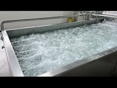 máquina de lavar vegetal