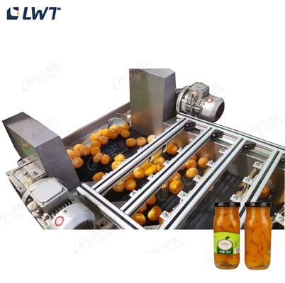 Linha de produção de frutas enlatadas Leadworld Linha de processamento de laranjas enlatadas