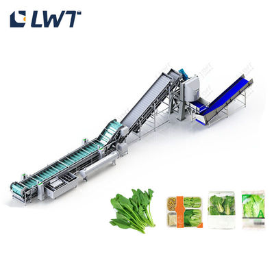 Linha de congelamento rápido de espinafre Equipamento de processamento de congelamento rápido de frutas e vegetais